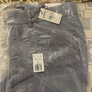 Brand New Tall/ Long Columnist Express Pants - 3